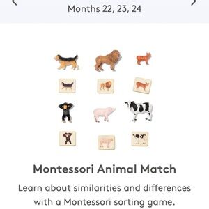Animal Match Sorting Game - Neutral Multi
